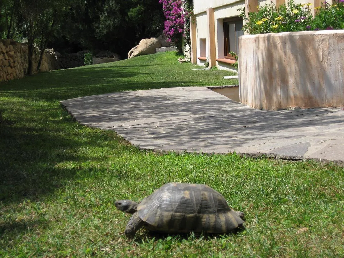 Hotel Monti Di Mola Porto Cervo 4*,